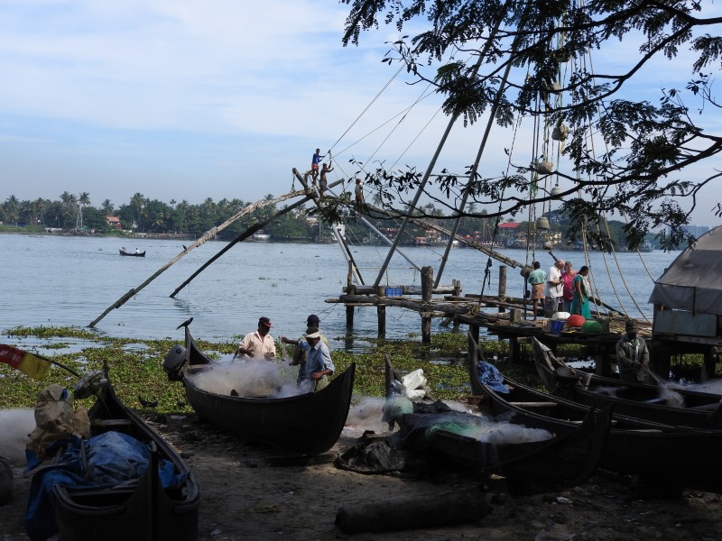 36 COCHIN Reti Cinesi